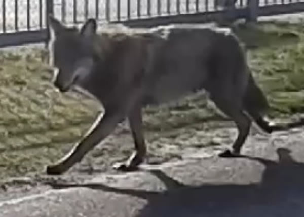 ����150������������