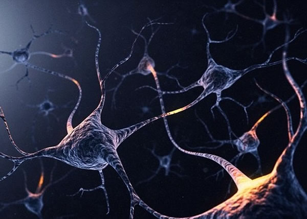 �Բ�������GPSϵͳ��ϸ����֯