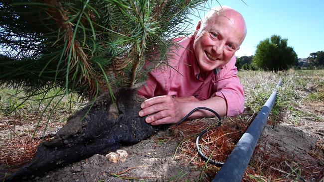 墨尔本农场发现澳洲史上首颗白松露