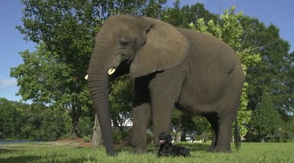 �������о����ִ������������ڹ��� ����ⱬը���ϱ���ͻ��