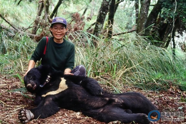 ��������ʦ��̨�����