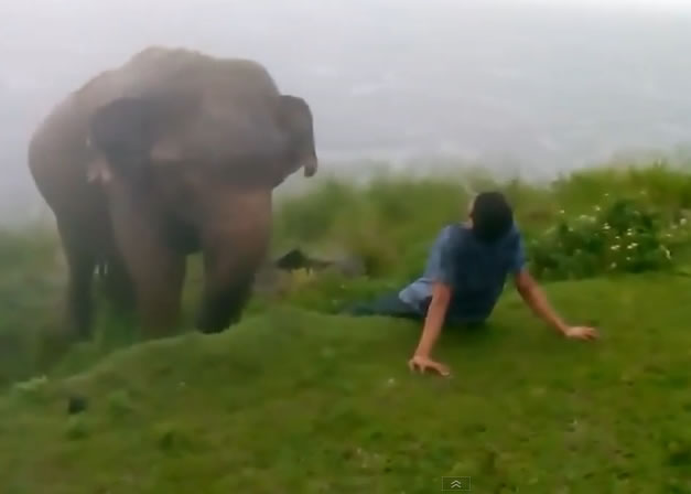 ���Ӿ�����ʧȥ���ԣ���Ȼ���������ǰ��