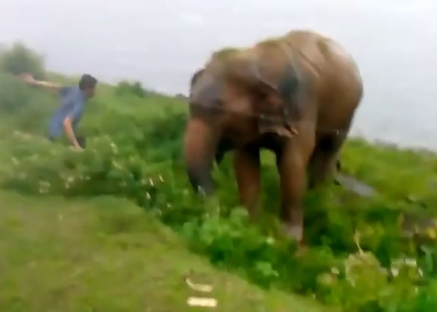 ���Ӿ�����ʧȥ���ԣ���Ȼ���������ǰ��