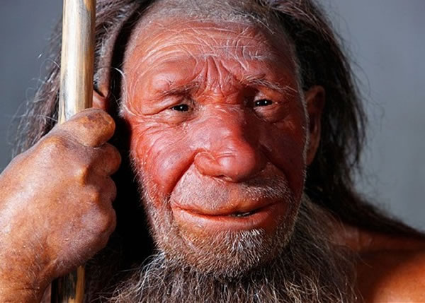 弗拉耶形容发现反驳尼安德特人(图)原始及愚蠢的说法。