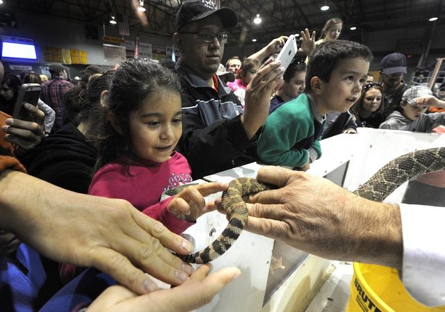 美国德州Sweetwater举办全世界规模最大的“响尾蛇大会”