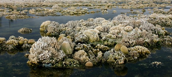 ��˹�׵�������ϵ�ɺ��������ͼ�����޽����ṩ��