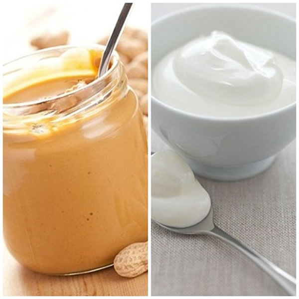 ����ָ�����پ���ʳ���绨���������ҵ�֬��������������ʳ����ߡ�