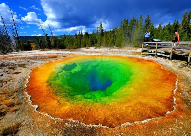 ǣţ����Ȫ��1950�����ʼ��ɫ