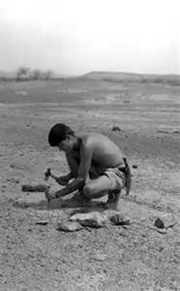 詹姆斯·G·米德1964年在东非肯尼亚发现突吻鲸化石