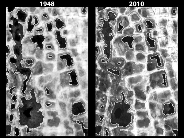 1948�꺽�ĵĺ�簢��˹�ӵİ��ް뵺�ĸ߷ֱ��ʵ���Ƭ����ͬ��2002�ꡢ2008���2010��������ִ���������ͼ����ͼ��