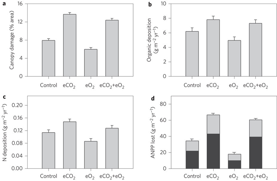 ���´�ɭ����ֲʳ����Ĵ���ʹ�ô����ж�����̼Ũ������