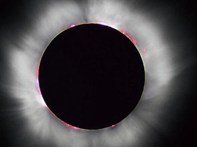 纪录片《恐龙复活》揭示美国科学家要用鸡复活