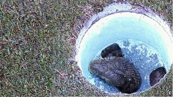 �����ÿ���˹�ݸ߶������򶴾�Ȼ��������