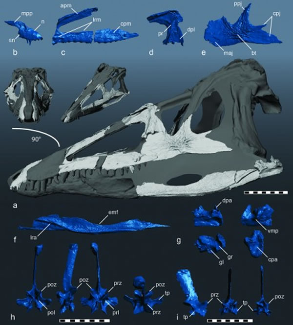 ����ʱ������֮ǰ��½��ʳ�⶯����λ��ʳ�������˵İ���Carolina Butcher