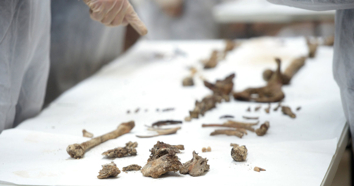 西班牙马德里研究团队宣布发现《唐吉诃德》作者塞万提斯(Cervantes)的骨骸