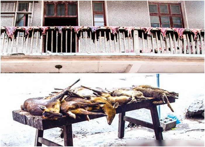 �̷���¶̨����̯��һ��Ѫ���ܵ�ɽ��Ƥ��ͼ�ϣ��������ڽ�ͷ��Ȼ����Ұɽ���⣨ͼ�£���