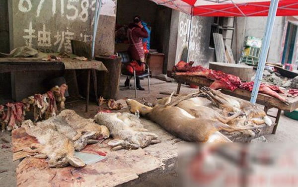 �̷���·�߹�Ȼ����Ұɽ��Ұ�õȡ�