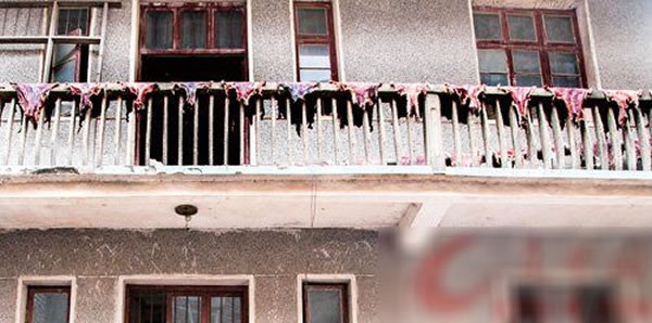 Ѫ���ܵ�ɽ��Ƥ��¶̨��ɹ������Ѫ�ȡ�