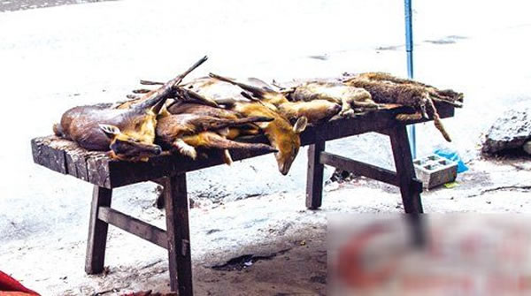 Ұɽ����ʡ���������ȴ�������ɱ��