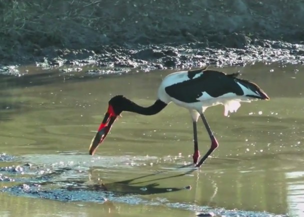 ������׼����������ϰ���������