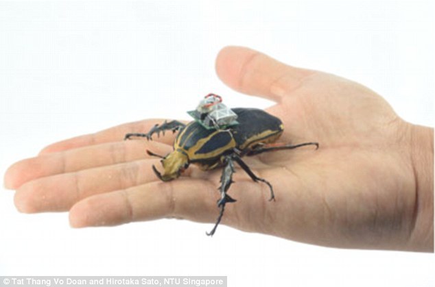 �о���ʹ�õļ׳��Ǿ��ͻ���꣬ƽ������2Ӣ�磨Լ��6���ף�����0.3��˾��Լ��9�ˣ�����ѧ���ڻ���걳����װ΢�͵��Ժ����ߵ�װ�ã��ڻ������й����м�¼���ݡ���