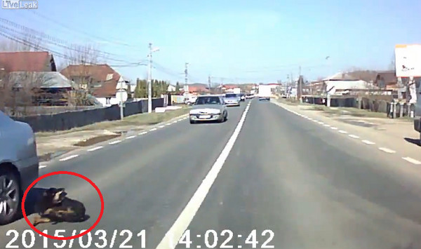 �����һ̨��