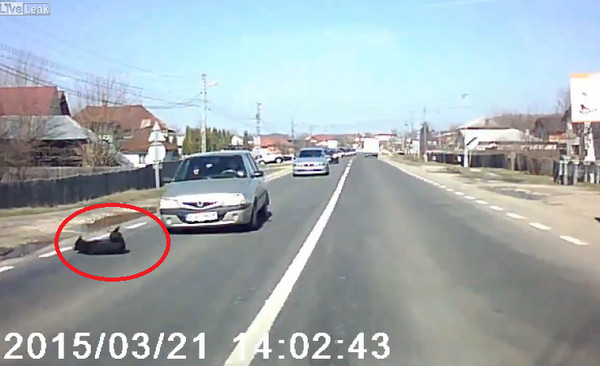 �ٴ������ڶ�̨