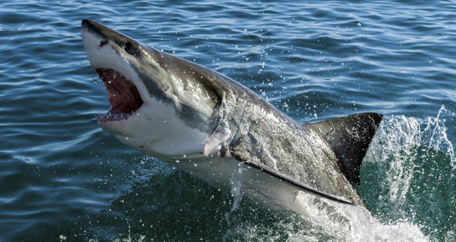 ¹οں캣ذİˮԡ⵽㹥