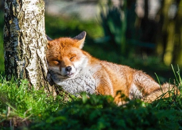 �������������˯�����������ڼ���㡣