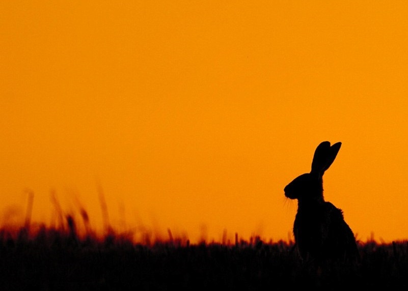 Ϧ�����£������ڲ�ԭ���������䡣