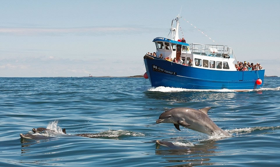 ����Ծ��ˮ�棬�ô�������������Ӣ�ˡ�