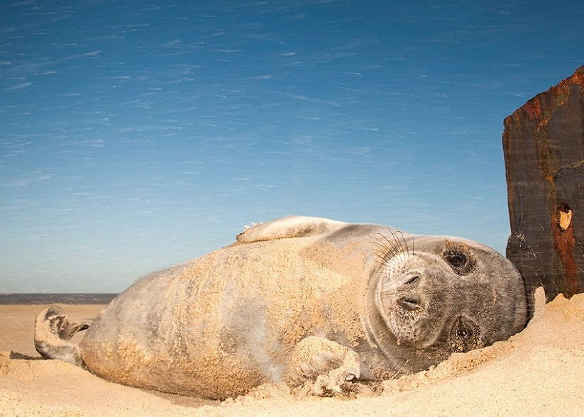 �������С��������ɳ̲�����չ�ԡ��