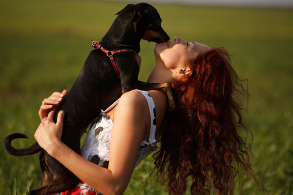 美国科学团队认为狗狗体内含有对于人体有益的“益生菌”