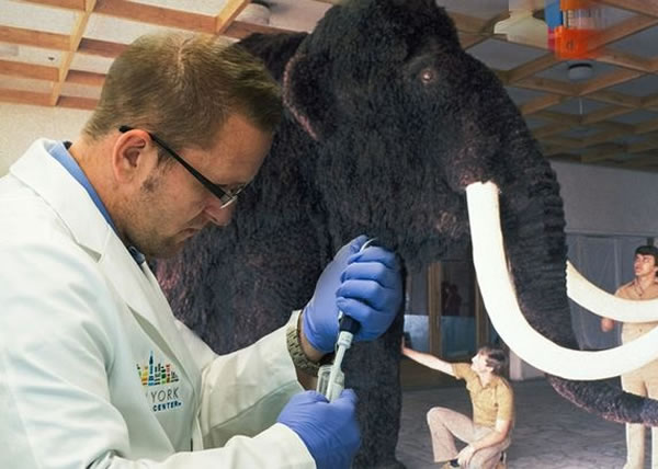 �о��Ŷӽ���ë���DNAƴ����ͨ�������ͼ��֮��