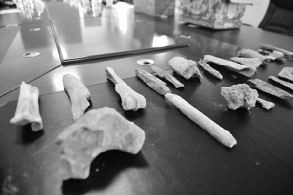 吉林通化县大安镇距今十万年古人类活动遗址——大安洞穴遗址