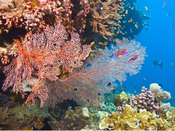 �Ĵ��������������󱤽���GBR�������ƻ� ��ѧ�Ҳ�δ����