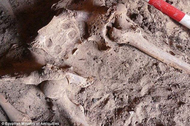 埃及4200年历史成年女性骨骸发现最古老的乳腺癌证据