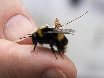 中国首部涉藏电视纪录片《第三极》将在美国国