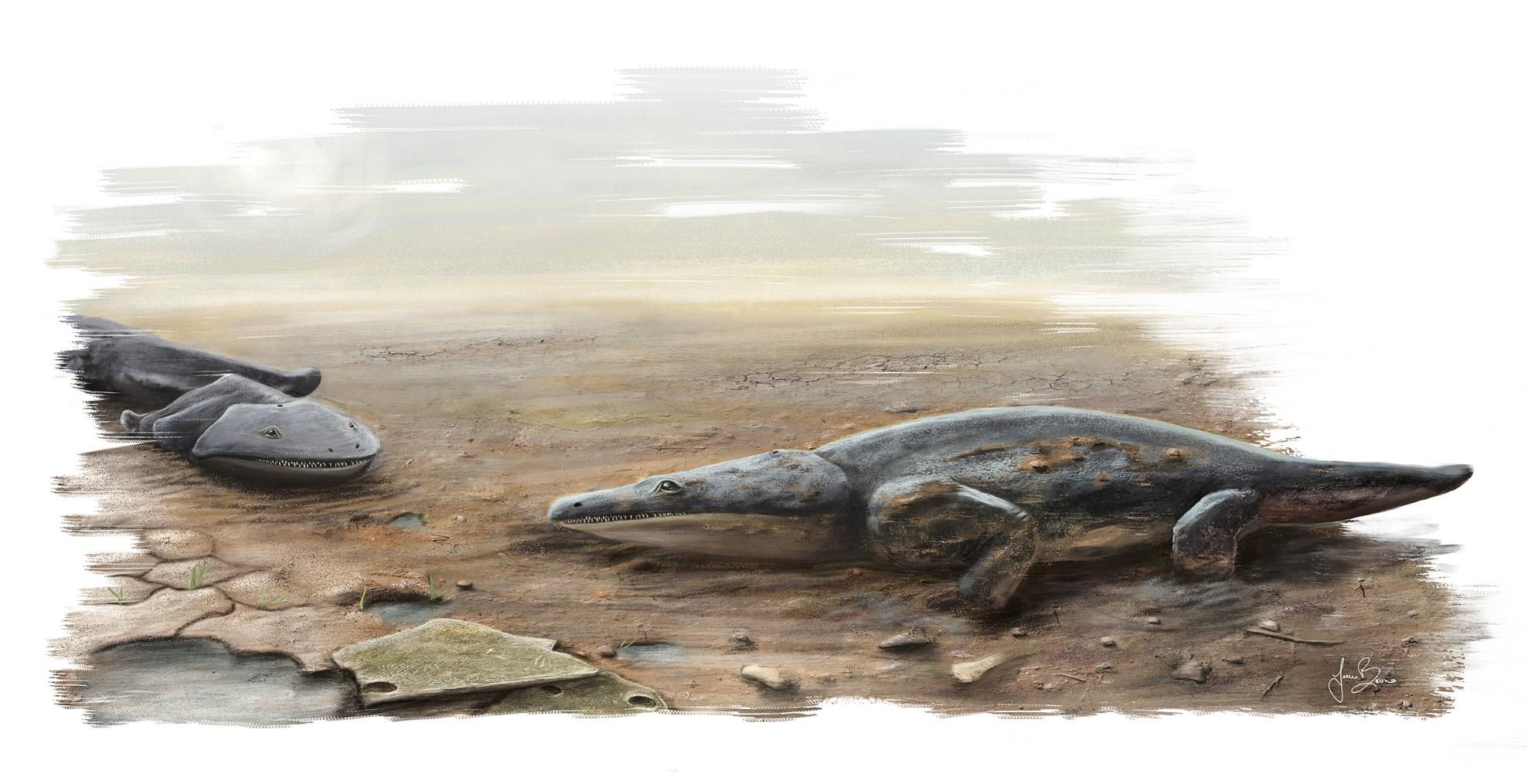 史前超级蝾螈Metoposaurus algarvensis——2亿年前的顶级掠食者