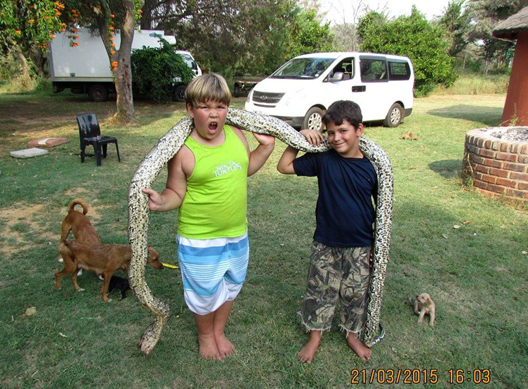 被打死的4米巨蟒