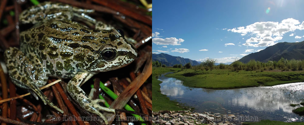 �ɹ������׸����ִ����ࡱ����ɽ���ܵĻ�����