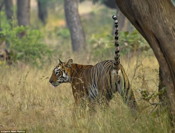 ӡȻһֻϻûС¹ һˣ