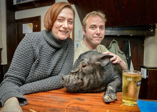 ���˾�����ֹ�����������⡱����ư�