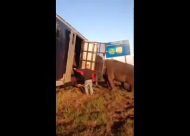 һͷ��������Ŭ�����Ŵ����