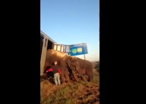 ˾�����Σ�ֻ��������ڶ�ͷ����