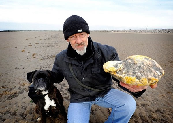 威尔曼与爱犬于2013年时挖出一块重达3公斤的黄色大石头,当时他以为是龙涎香。