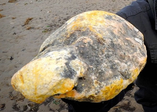 然而美国有专家分析这块“龙涎香”后,指出它根本不是龙涎香。