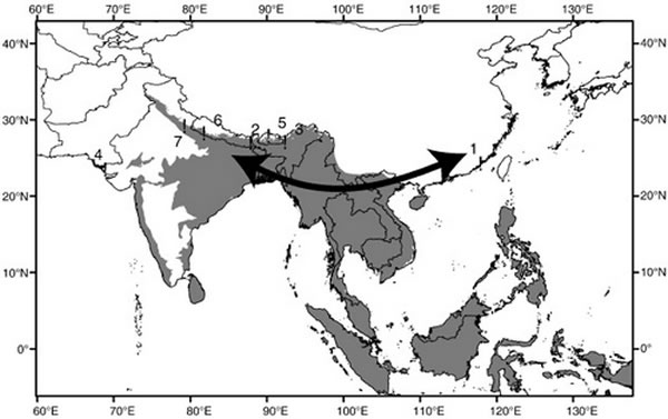 �����ȴ����ֲַ����������й�-ӡ��ֲ�����Ǩ��;��