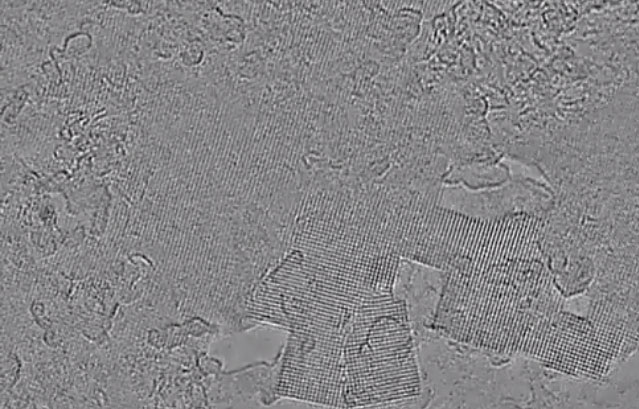 ��ѧ�Ҵ���һ�����͵ĳ�֮Ϊ���������ı�