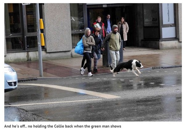 ����Ȯ�������̵Ƶİ�������